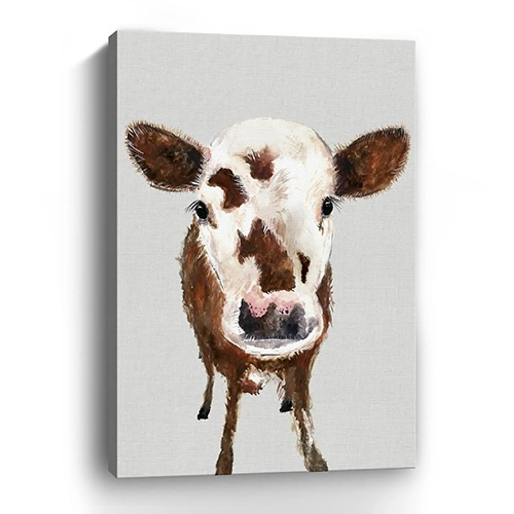 48″ x 32″ Brown and White Baby Cow Face Canvas Wall Art — view 2