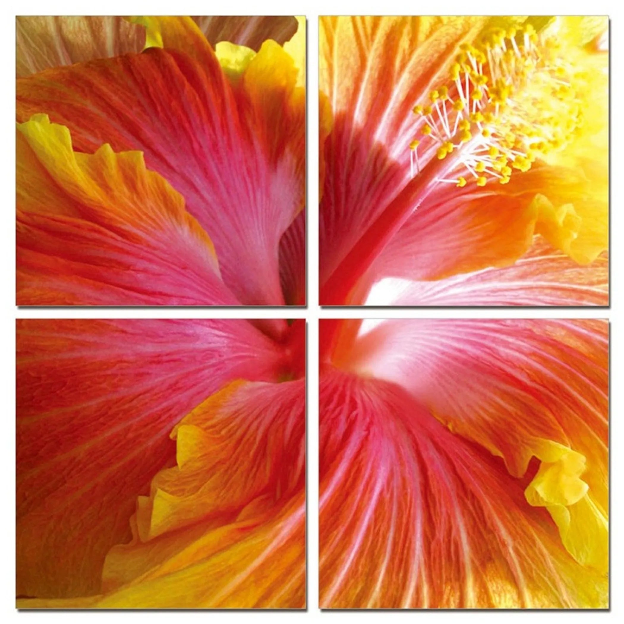 Set Of Four Print Wall Art — view 4
