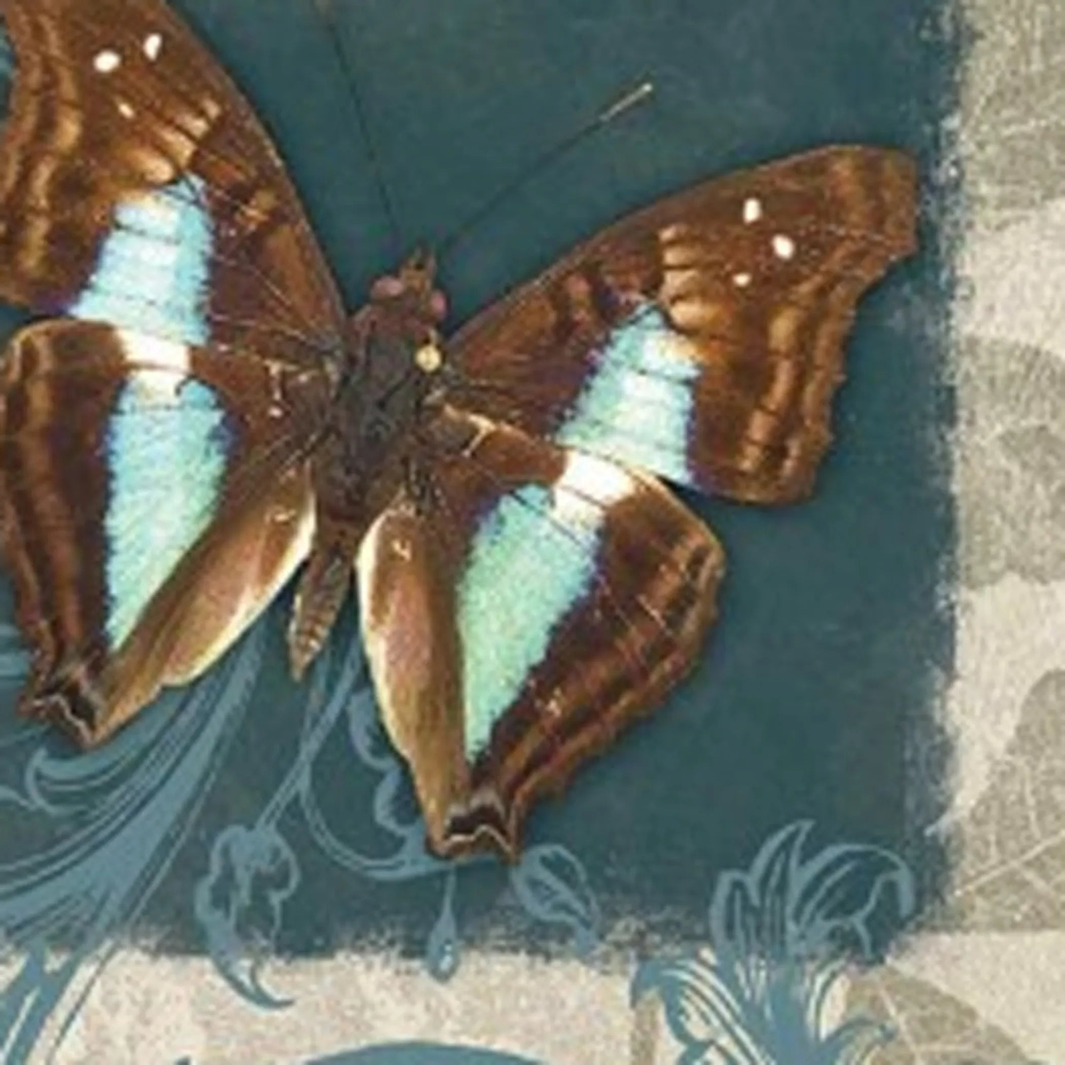 Set Of Three Butterflies White Framed Print Wall Art — view 4