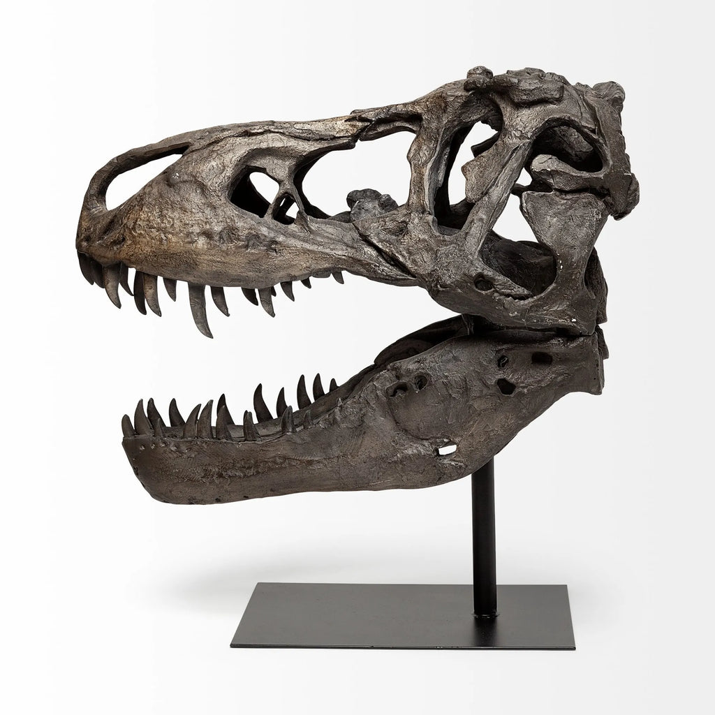 Authentic Replica T Rex Skull Sculpture — view 3
