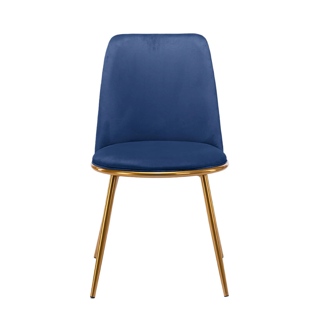 Blue And Gold Velvet and Metal Dining Side Chair — view 2