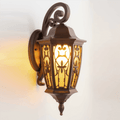 Outdoor Wall Light DTV424