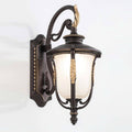 Outdoor Wall Light DTV605