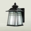 Outdoor Wall Light DTX204