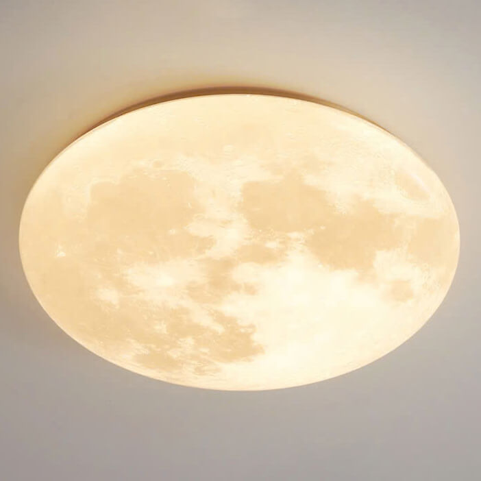 Flush Mount Ceiling Light MOV63