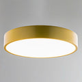Flush Mount Ceiling Light MOV65