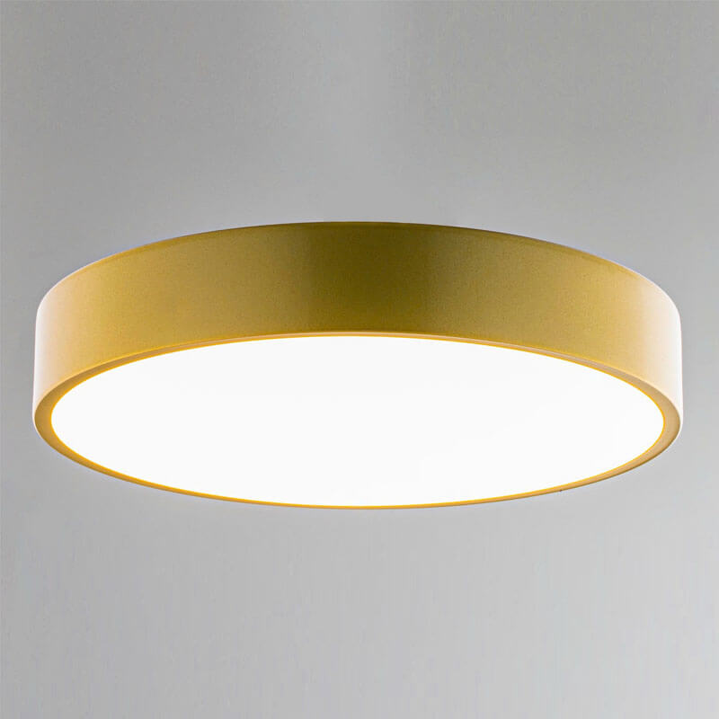 Flush Mount Ceiling Light MOV65
