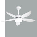 Ceiling Fan with Light QDR20
