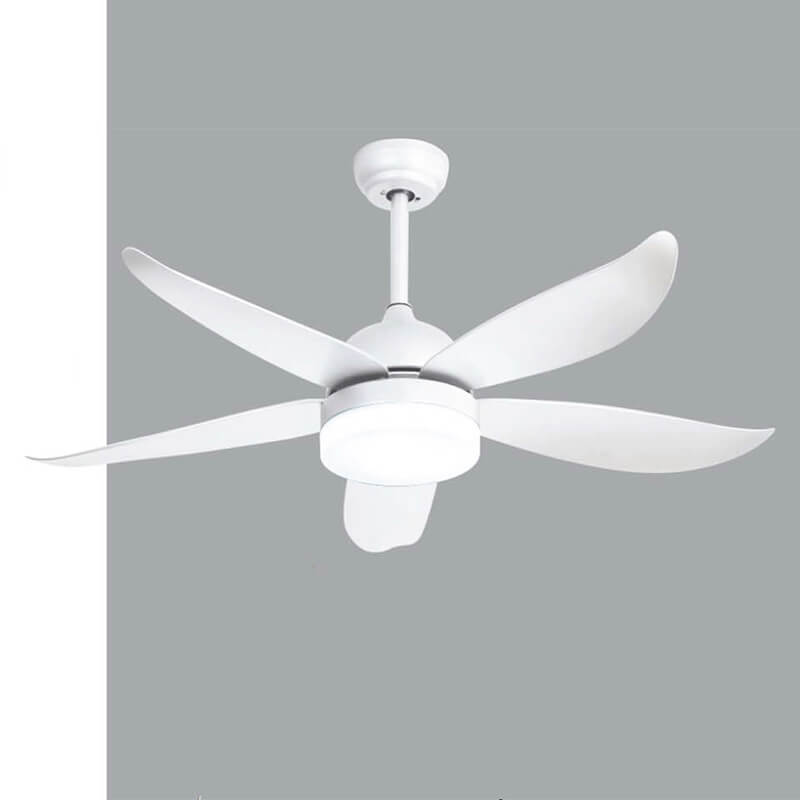 Ceiling Fan with Light QDR20