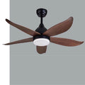 Ceiling Fan with Light QDR22