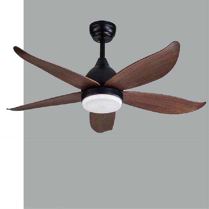 Ceiling Fan with Light QDR22