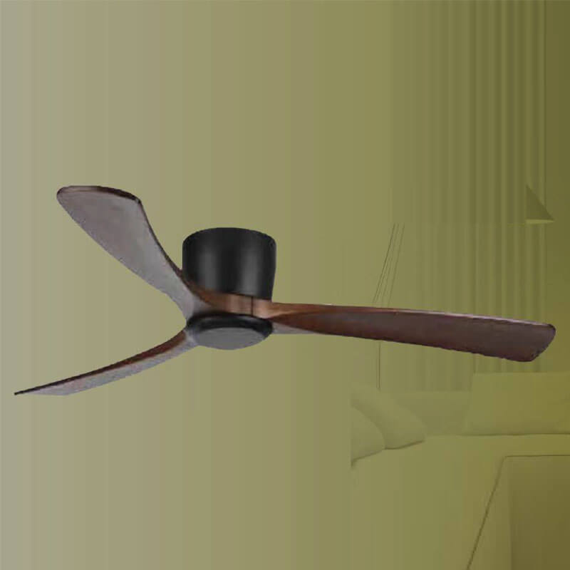 Ceiling Fan with Light QDR53