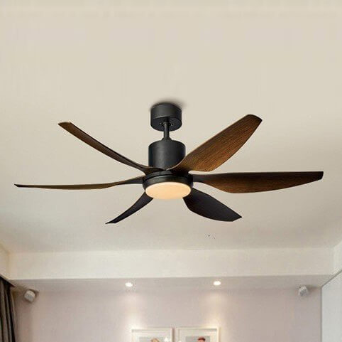Ceiling Fan with Light QDV15
