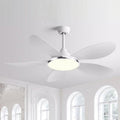 Ceiling Fan with Light QDV17