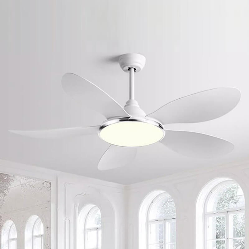 Ceiling Fan with Light QDV17
