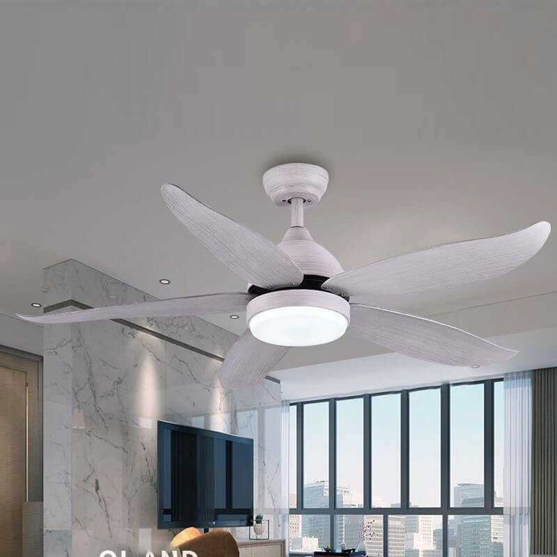 Ceiling Fan with Light QDV18