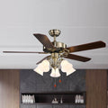 Ceiling Fan with Light QDX03
