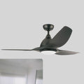 Ceiling Fan with Light QDX15