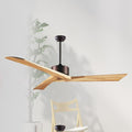 Ceiling Fan with Light QDX19