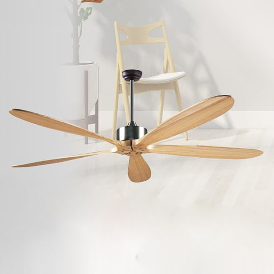 Ceiling Fan with Light QDX20