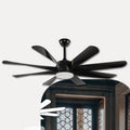 Ceiling Fan with Light QDX47