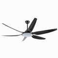 Ceiling Fan with Light QDX48
