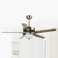Ceiling Fan with Light QDX56