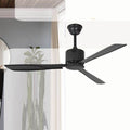 Ceiling Fan with Light QDX58