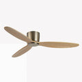 Ceiling Fan with Light QDX76