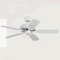 Ceiling Fan with Light QDX84