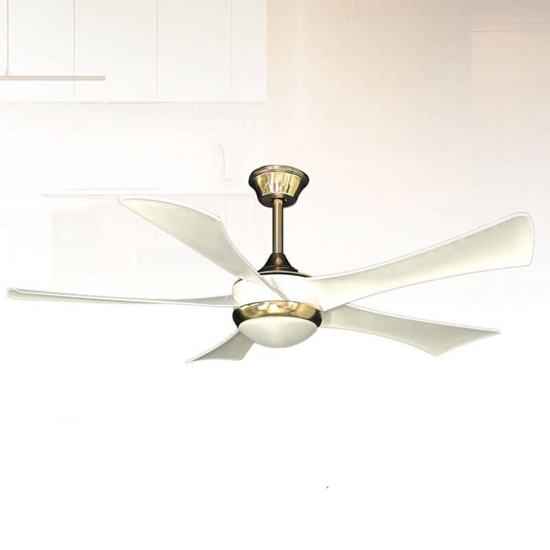 Ceiling Fan with Light QDX88