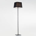 Floor Lamp TVC52