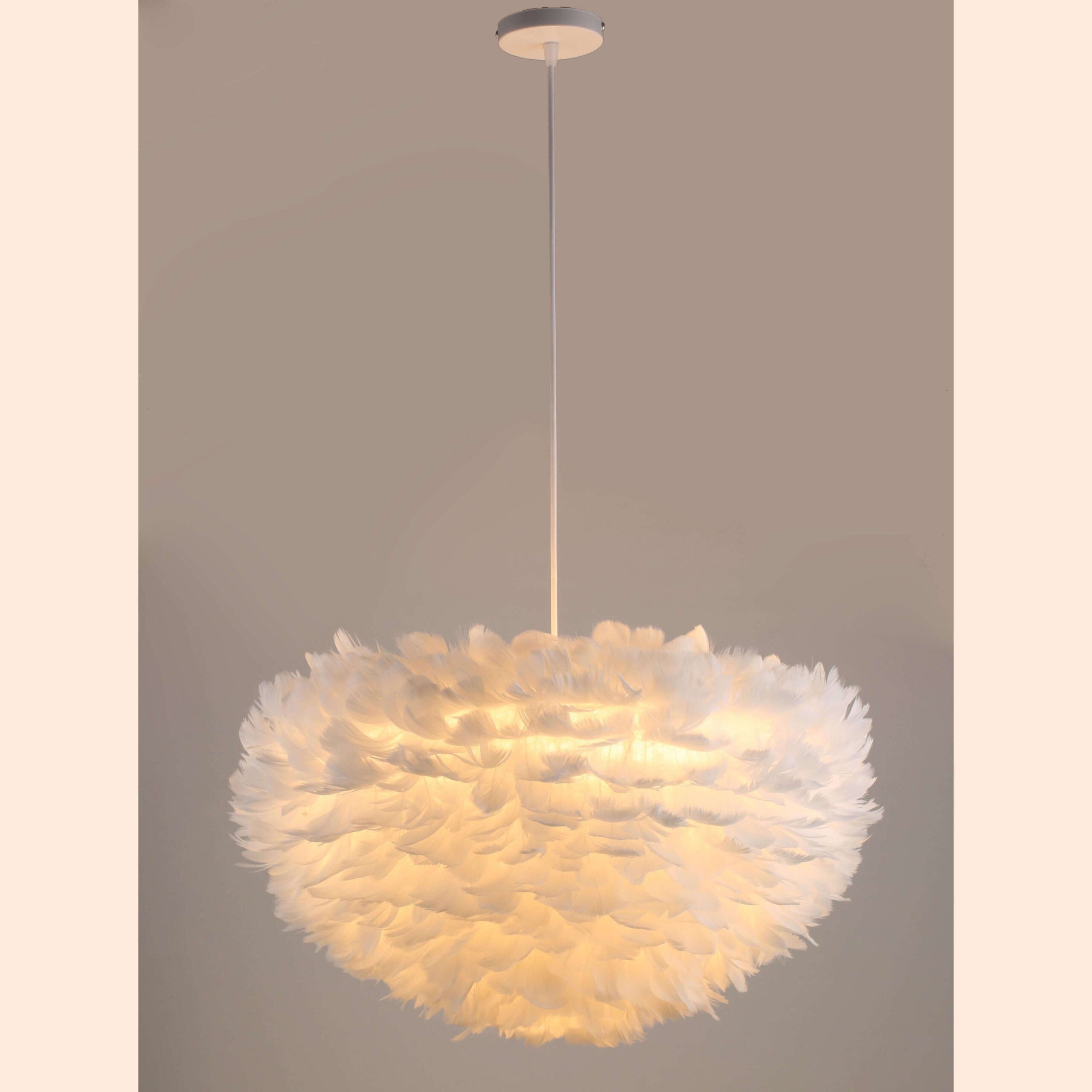Pendant Light Decorative TVN106