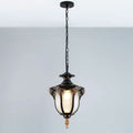 Pendant Light TVN991