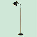 Floor Lamp TVR01