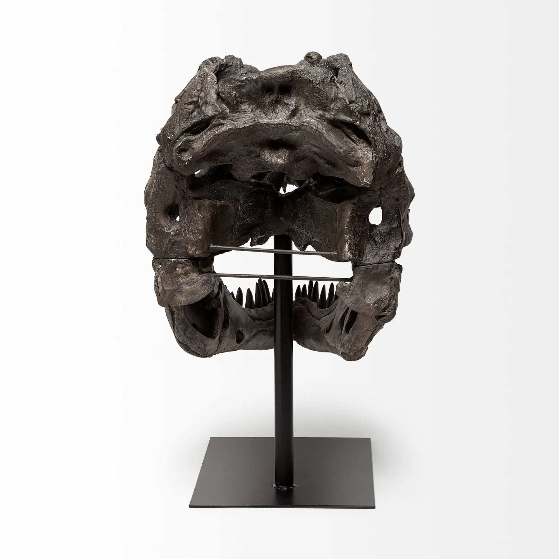 Authentic Replica T Rex Skull Sculpture — view 4