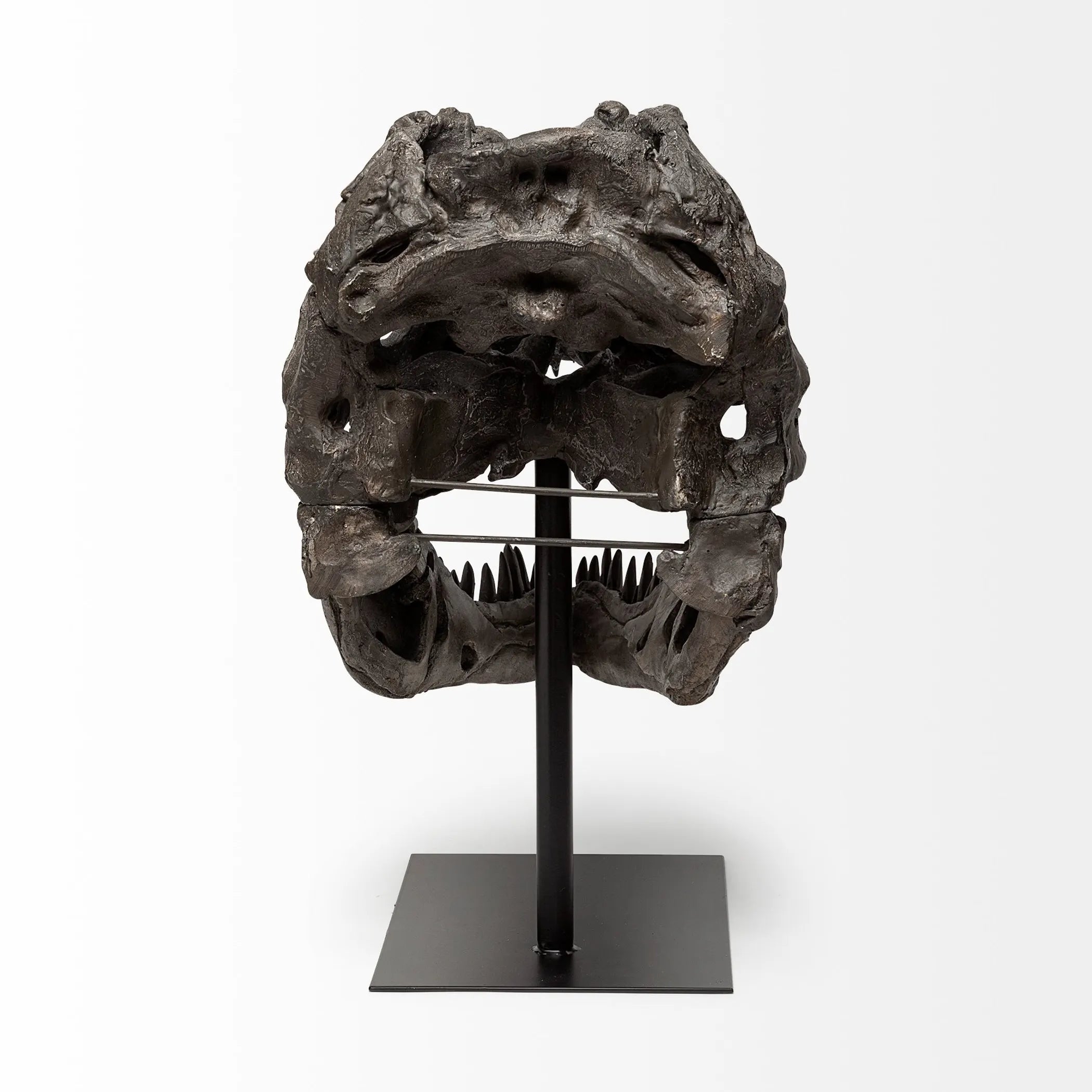 Authentic Replica T Rex Skull Sculpture — view 4