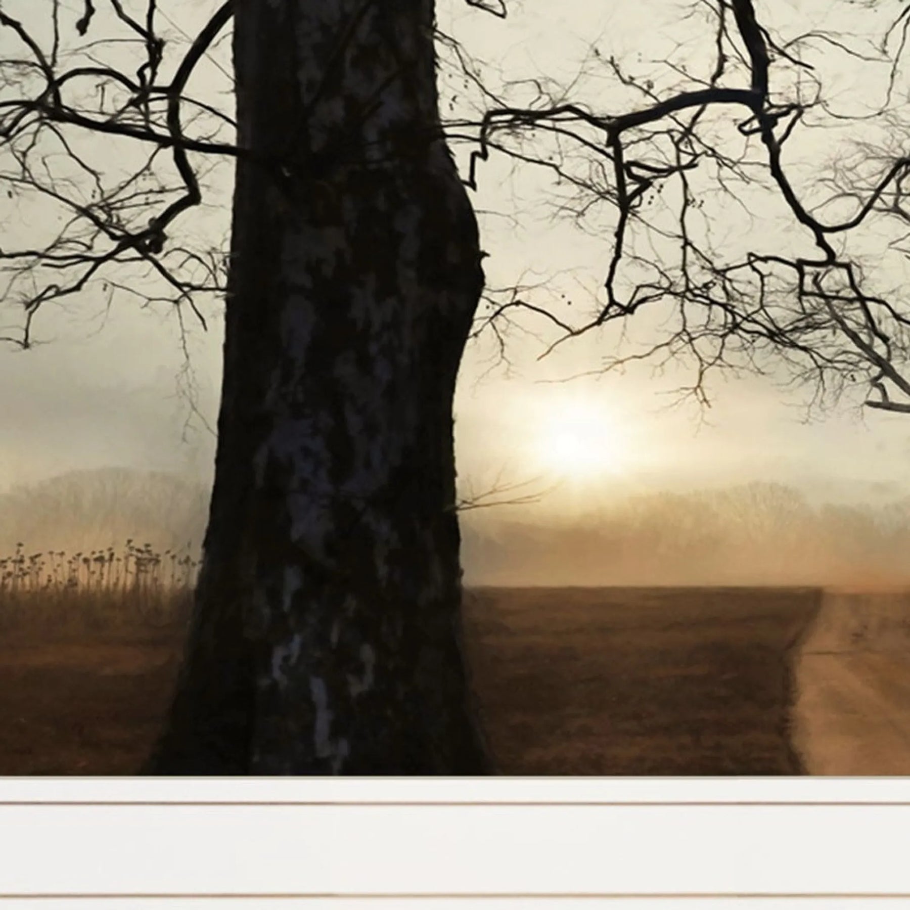 Set Of Two Enchanted Sunrise 1 White Framed Print Wall Art — view 4