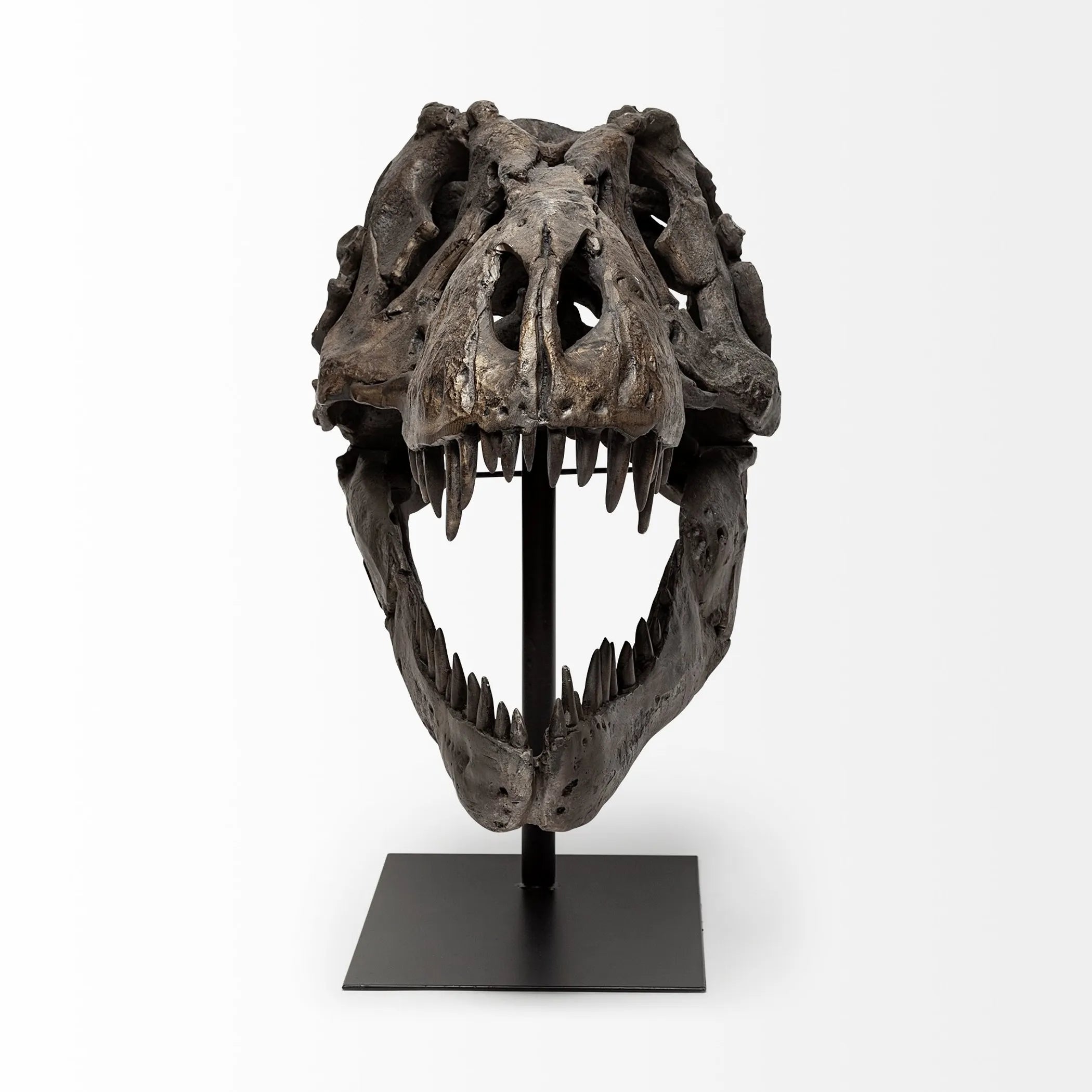 Authentic Replica T Rex Skull Sculpture — view 2