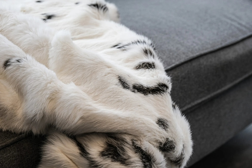 50″ X 60″ Black And White Rabbit Fur Plush Throw Blanket — view 4