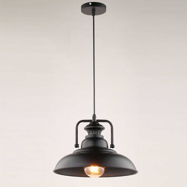 Pendant Light Decorative TVN229